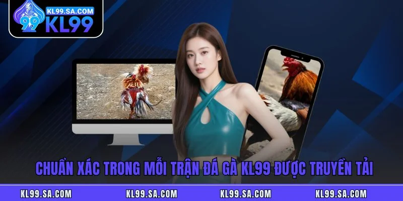 Đá Gà KL99 – Hệ Thống Thi Đấu Nổi Bật Theo Từng Trường Gà